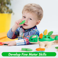 Montessori Dinosaur Fine Motor Learning Toy for Toddlers