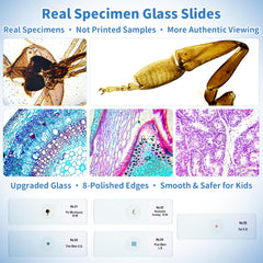 Kids 1000X Digital Microscope with 4K Screen Ages 4–12